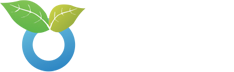 Ozonowanie samochodu